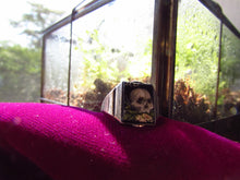 Load image into Gallery viewer, Dainty Skull Ring size 5-9