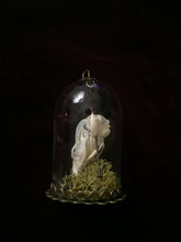 Load image into Gallery viewer, Miniature Curiosities: Painted Mouse Skull - On Sale