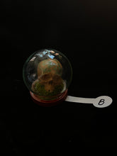 Load image into Gallery viewer, Painted Miniature Human Skull Diorama B
