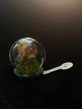 Load image into Gallery viewer, Painted Miniature Human Skull Diorama C
