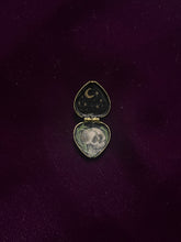 Load image into Gallery viewer, Poisonous Flowers: Azaleas
