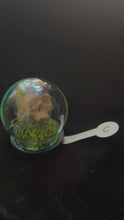 Load and play video in Gallery viewer, Painted Miniature Human Skull Diorama C
