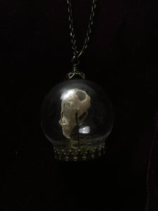 Miniature Curiosities: Painted Mouse Skull - On Sale